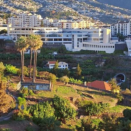 Magnolia Apartment Luxury Apt Great Views Funchal  Zewnętrze zdjęcie